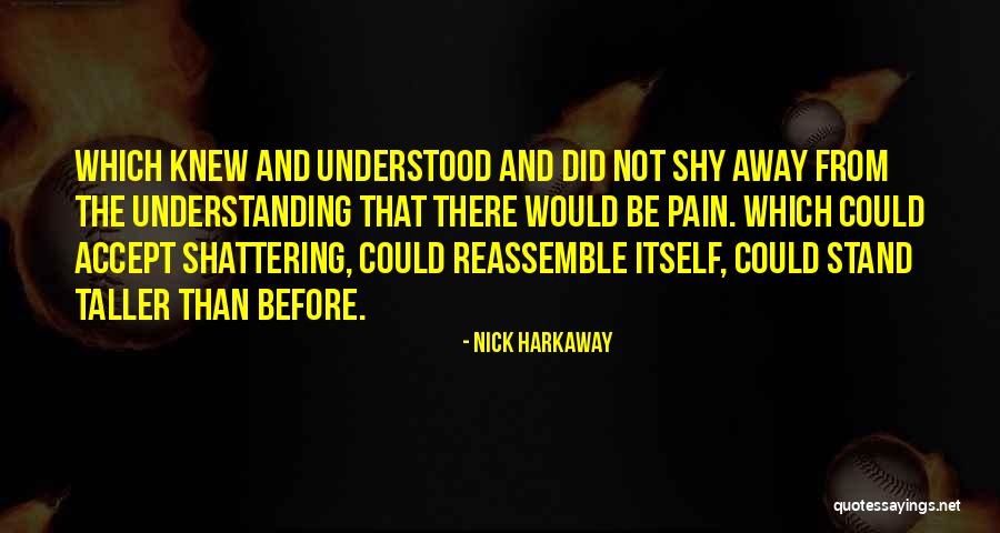 Understanding Others Pain Quotes By Nick Harkaway