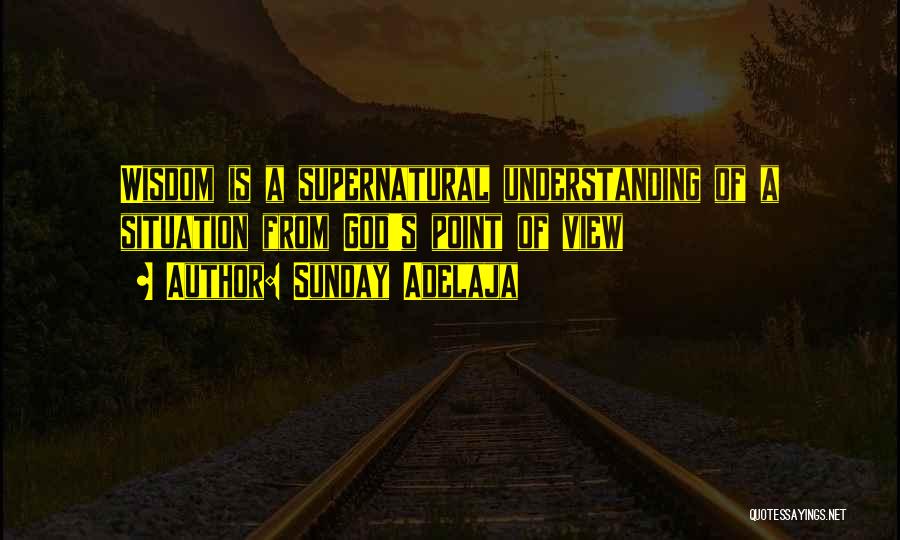 Understanding Others Point Of View Quotes By Sunday Adelaja