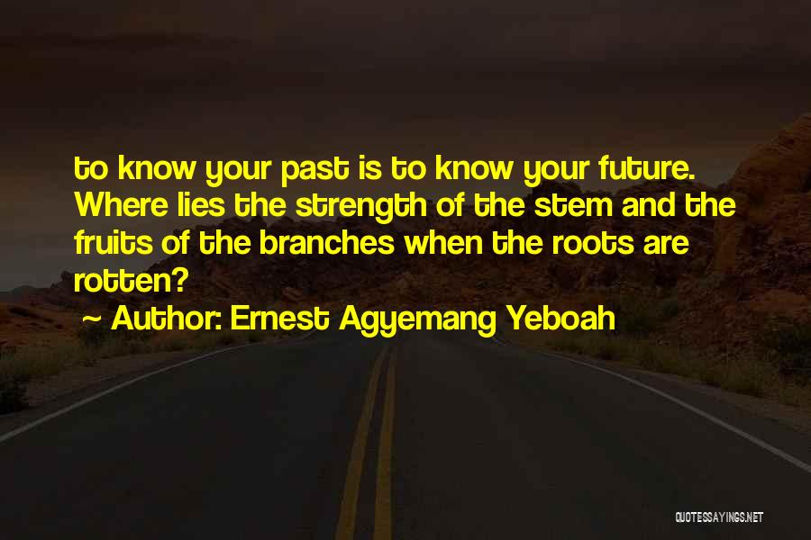 Understanding Our Past Quotes By Ernest Agyemang Yeboah