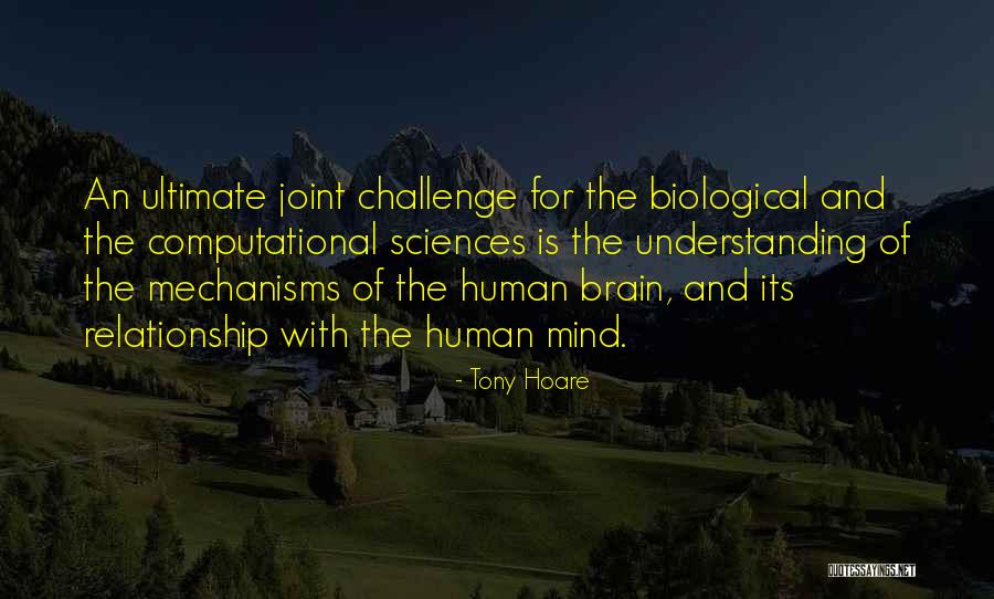 Understanding The Human Mind Quotes By Tony Hoare