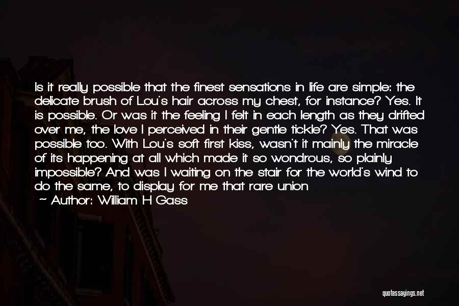 Understanding The Impossible Quotes By William H Gass