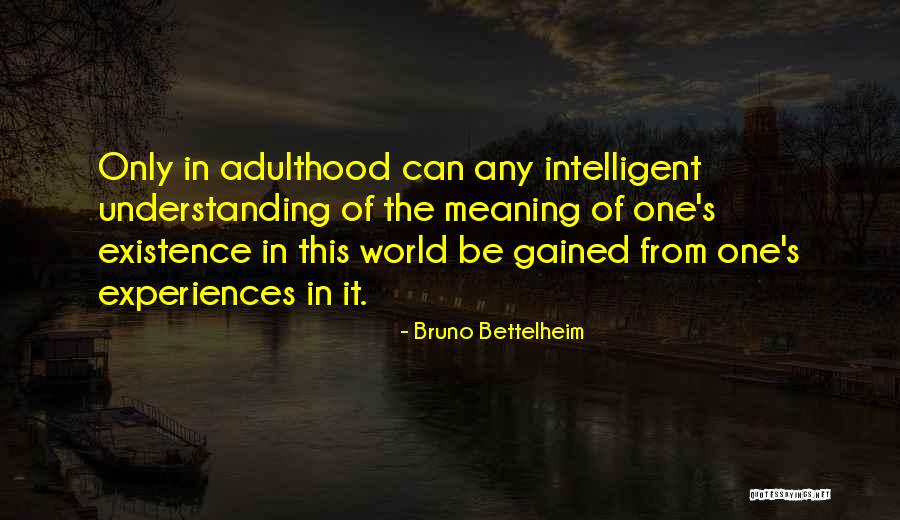 Understanding The Meaning Of Quotes By Bruno Bettelheim Understanding The Meaning Of Quotes By Bruno Bettelheim