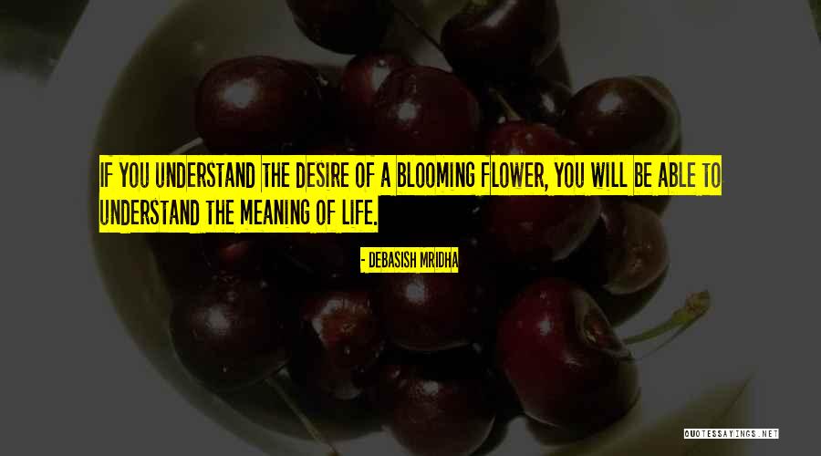 Understanding The Meaning Of Quotes By Debasish Mridha Understanding The Meaning Of Quotes By Debasish Mridha