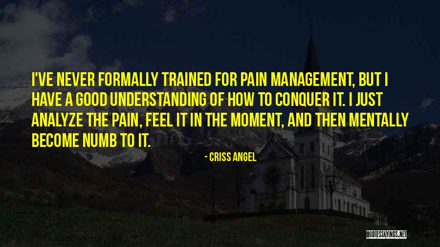 Understanding The Pain Quotes By Criss Angel