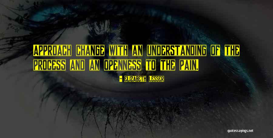 Understanding The Pain Quotes By Elizabeth Lesser