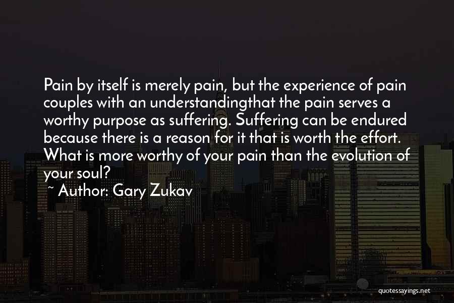 Understanding The Pain Quotes By Gary Zukav