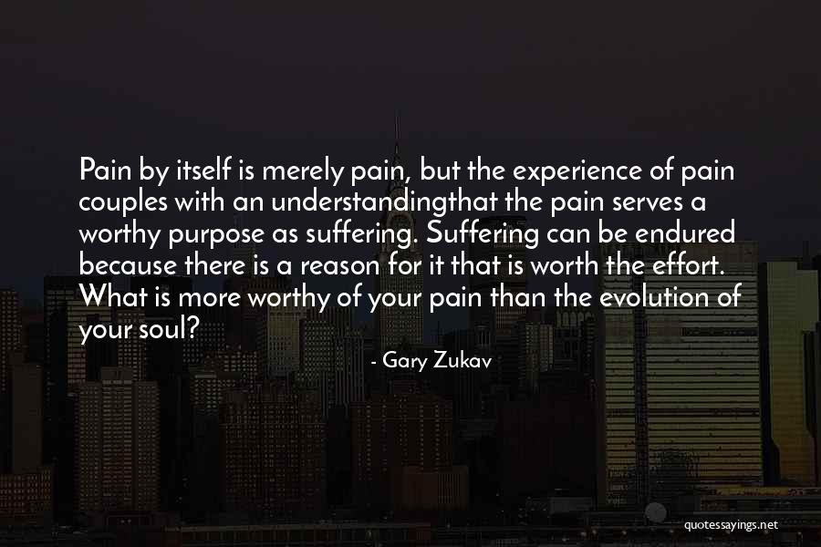 Understanding The Pain Quotes By Gary Zukav