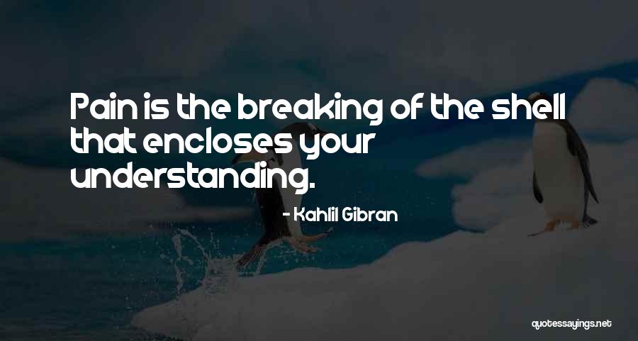 Understanding The Pain Quotes By Kahlil Gibran