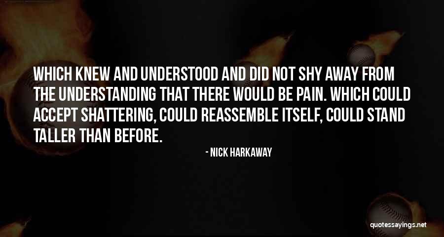 Understanding The Pain Quotes By Nick Harkaway