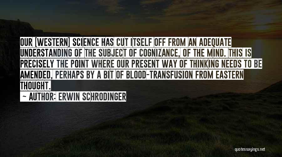 Understanding The Present Quotes By Erwin Schrodinger