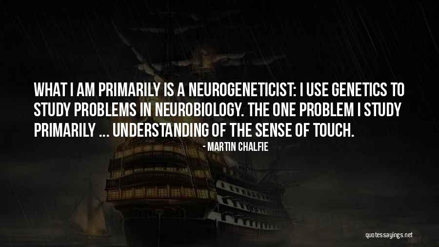 Understanding The Problem Quotes By Martin Chalfie Understanding The Problem Quotes By Martin Chalfie