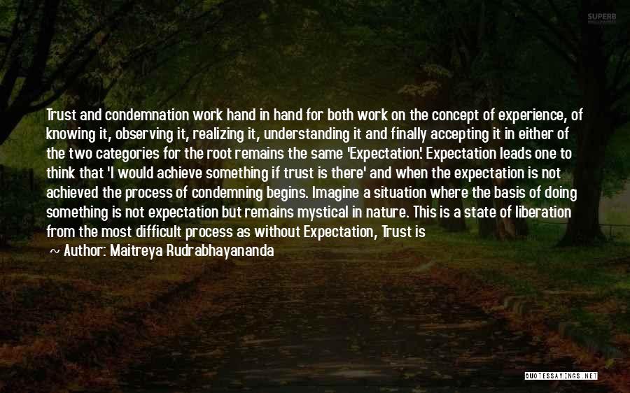 Understanding The Situation Quotes By Maitreya Rudrabhayananda