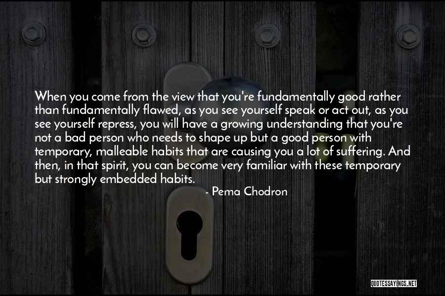 Understanding Who You Are Quotes By Pema Chodron