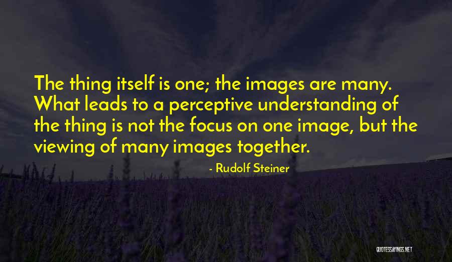 Understanding With Images Quotes By Rudolf Steiner