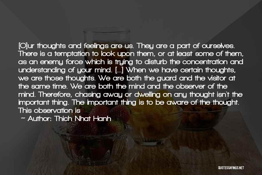 Understanding Your Mind Quotes By Thich Nhat Hanh