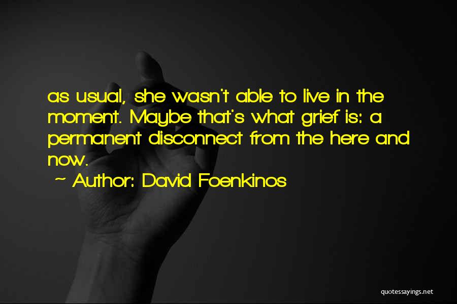 Understatement Example Quotes By David Foenkinos