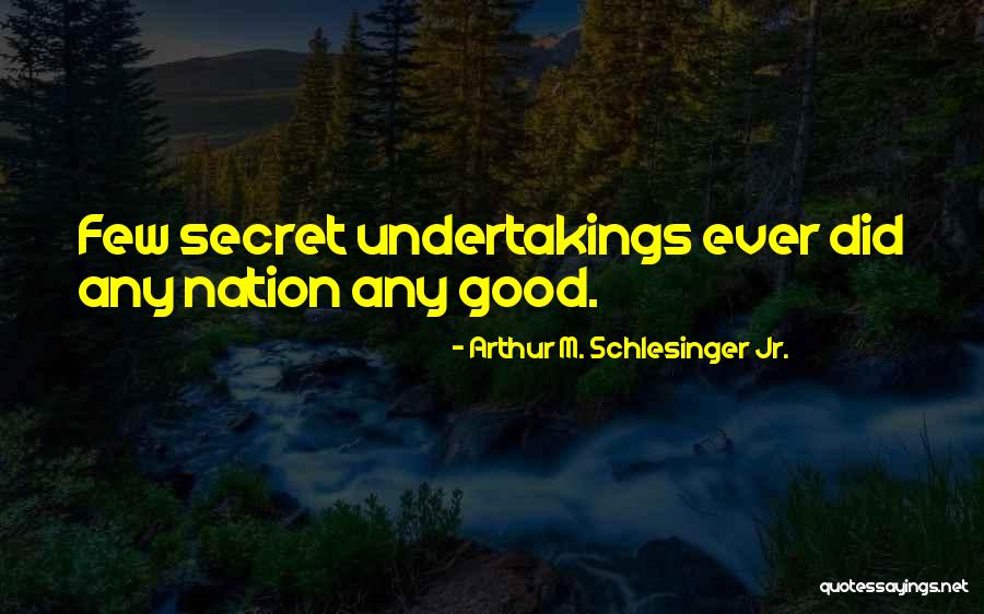 Undertakings Quotes By Arthur M. Schlesinger Jr. Undertakings Quotes By Arthur M. Schlesinger Jr.