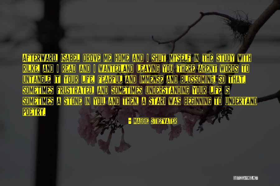 Undertand Quotes By Maggie Stiefvater Undertand Quotes By Maggie Stiefvater