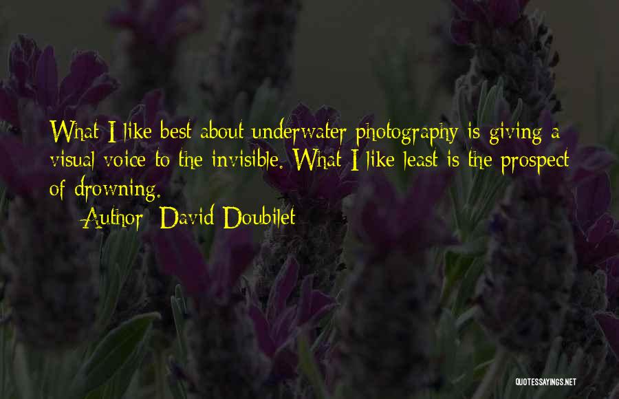 Underwater Quotes By David Doubilet