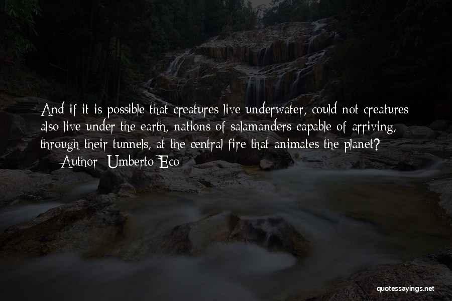 Underwater Quotes By Umberto Eco