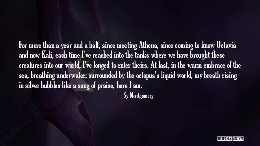 Underwater World Quotes By Sy Montgomery Underwater World Quotes By Sy Montgomery