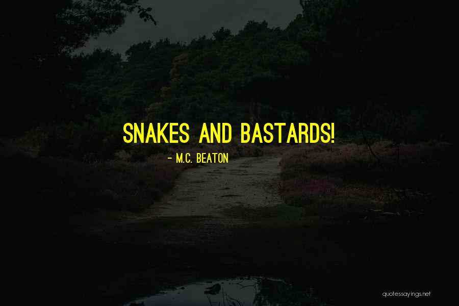 Undeserving People Quotes By M.C. Beaton