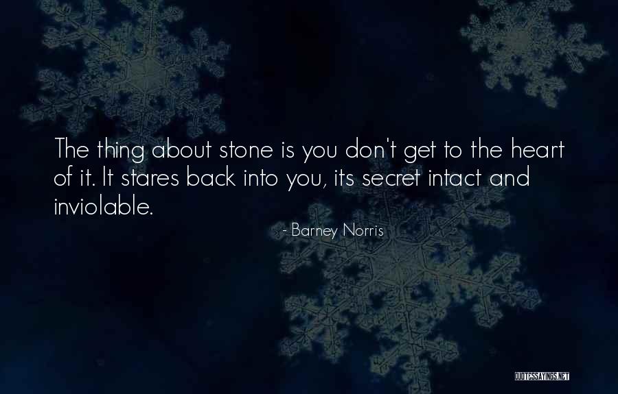 Undesired Aircraft Quotes By Barney Norris