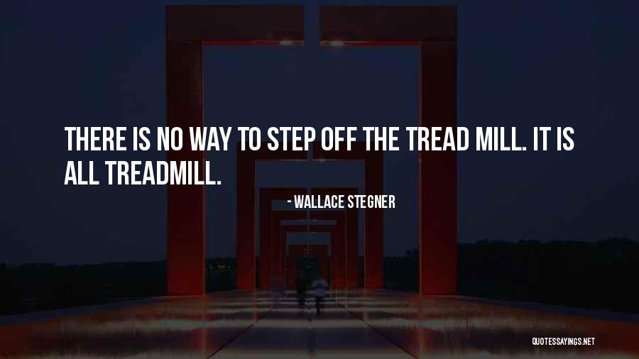 Undetermined Senate Quotes By Wallace Stegner