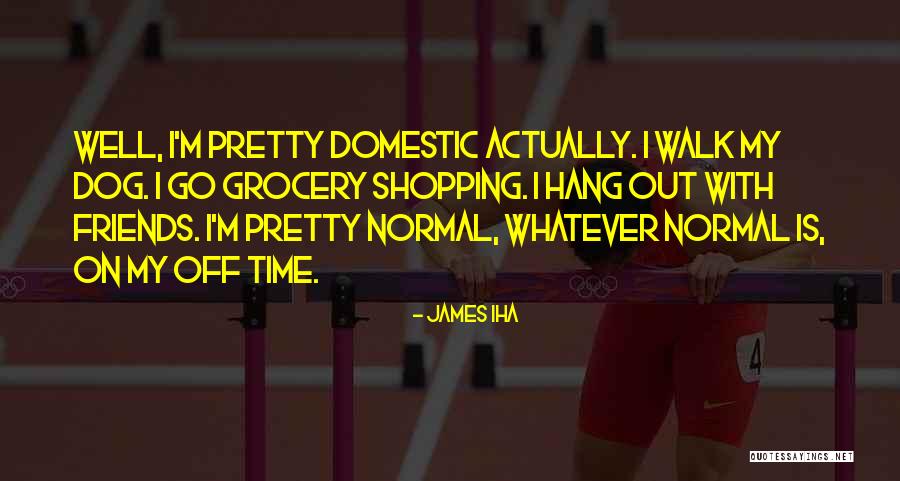 Undeterred Antonym Quotes By James Iha Undeterred Antonym Quotes By James Iha