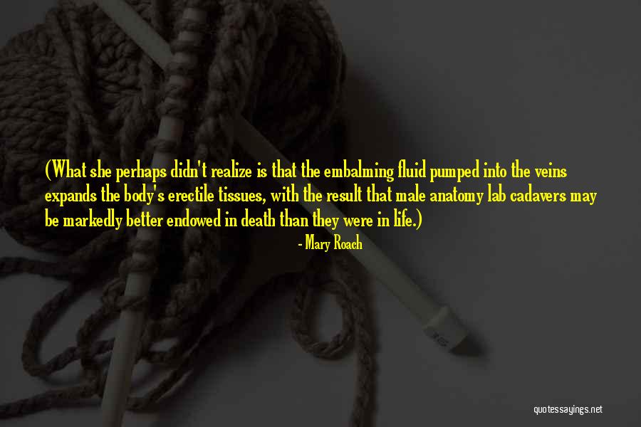 Undeva Departe Quotes By Mary Roach Undeva Departe Quotes By Mary Roach