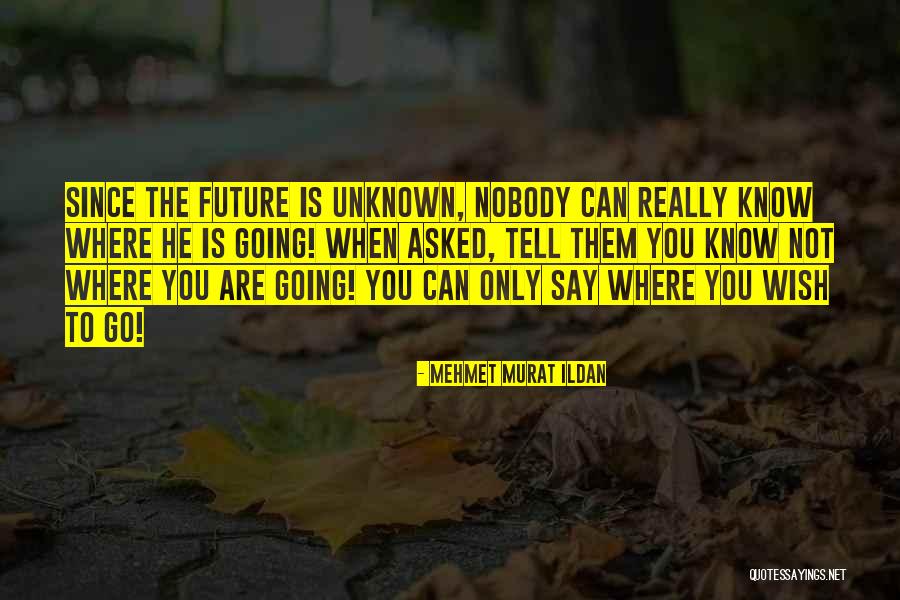 Undialectical Quotes By Mehmet Murat Ildan Undialectical Quotes By Mehmet Murat Ildan