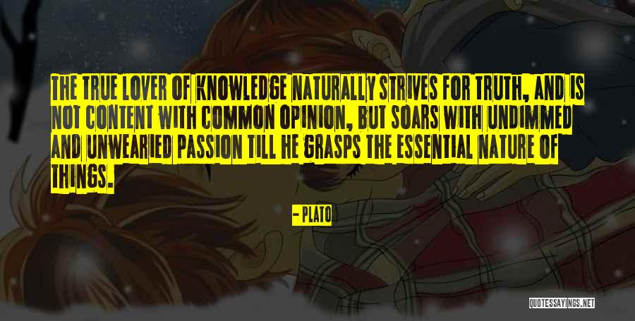 Undimmed Quotes By Plato Undimmed Quotes By Plato