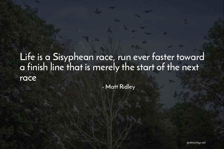 Undisputedly The Best Quotes By Matt Ridley Undisputedly The Best Quotes By Matt Ridley