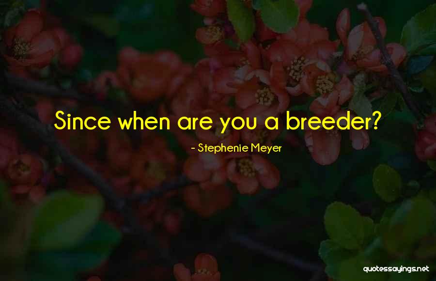 Undistilled Quotes By Stephenie Meyer Undistilled Quotes By Stephenie Meyer