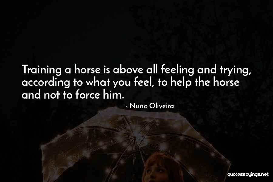 Undistorted Quotes By Nuno Oliveira Undistorted Quotes By Nuno Oliveira