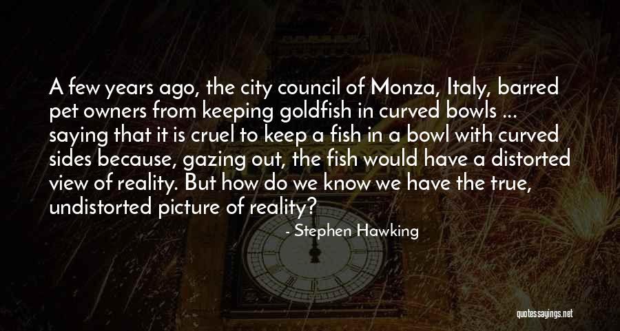 Undistorted Quotes By Stephen Hawking Undistorted Quotes By Stephen Hawking