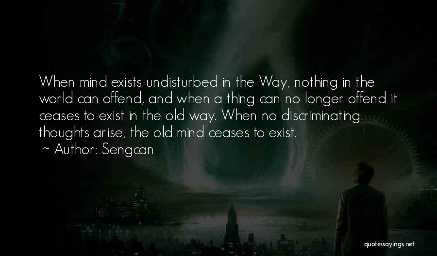 Undisturbed Quotes By Sengcan