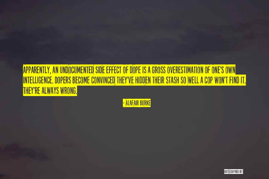 Undocumented Quotes By Alafair Burke Undocumented Quotes By Alafair Burke