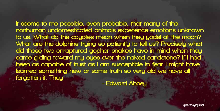 Undomesticated Animals Quotes By Edward Abbey