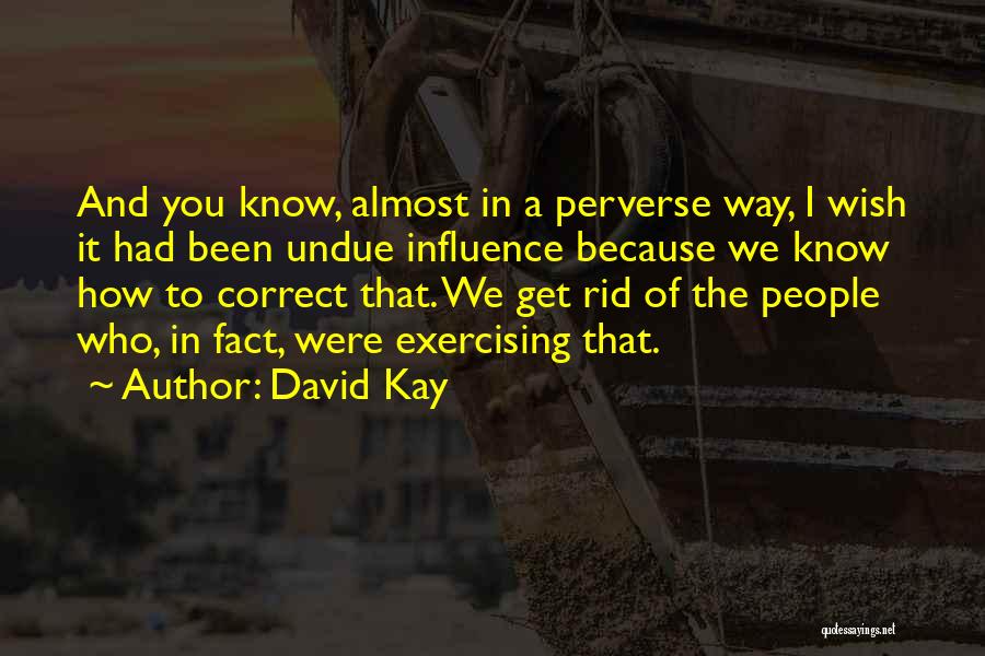 Undue Quotes By David Kay