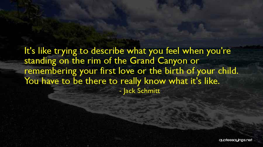 Unduly Influenced Quotes By Jack Schmitt Unduly Influenced Quotes By Jack Schmitt