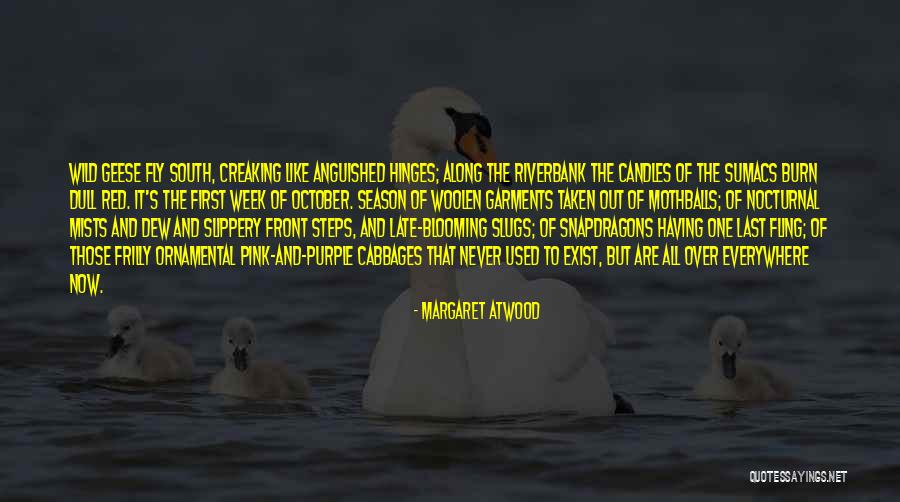 Undurraga Cabernet Quotes By Margaret Atwood Undurraga Cabernet Quotes By Margaret Atwood
