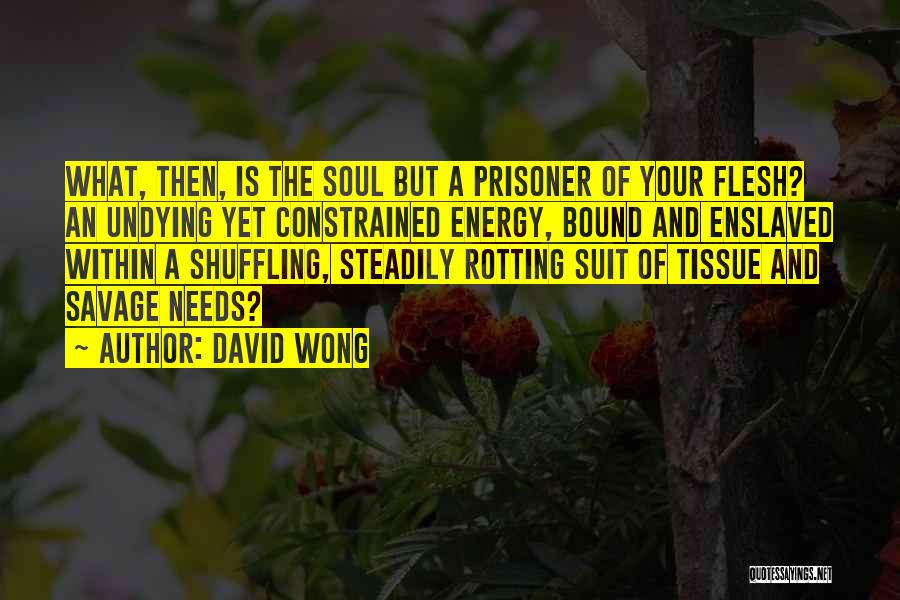 Undying Soul Quotes By David Wong