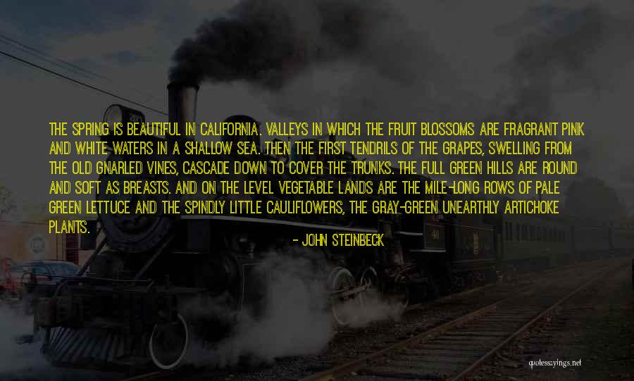 Unearthly Quotes By John Steinbeck