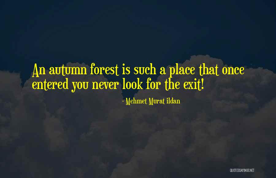 Uneaten Cake Quotes By Mehmet Murat Ildan Uneaten Cake Quotes By Mehmet Murat Ildan