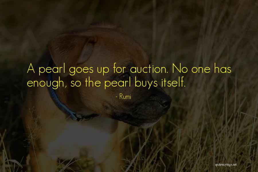 Unelected Bureaucrats Quotes By Rumi Unelected Bureaucrats Quotes By Rumi