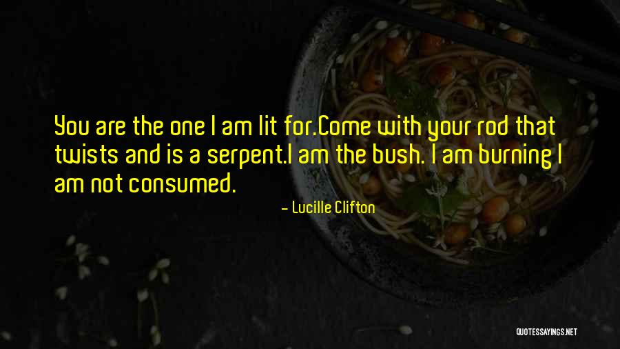 Unescorted Access Quotes By Lucille Clifton Unescorted Access Quotes By Lucille Clifton