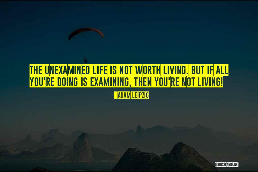 Unexamined Life Quotes By Adam Leipzig Unexamined Life Quotes By Adam Leipzig