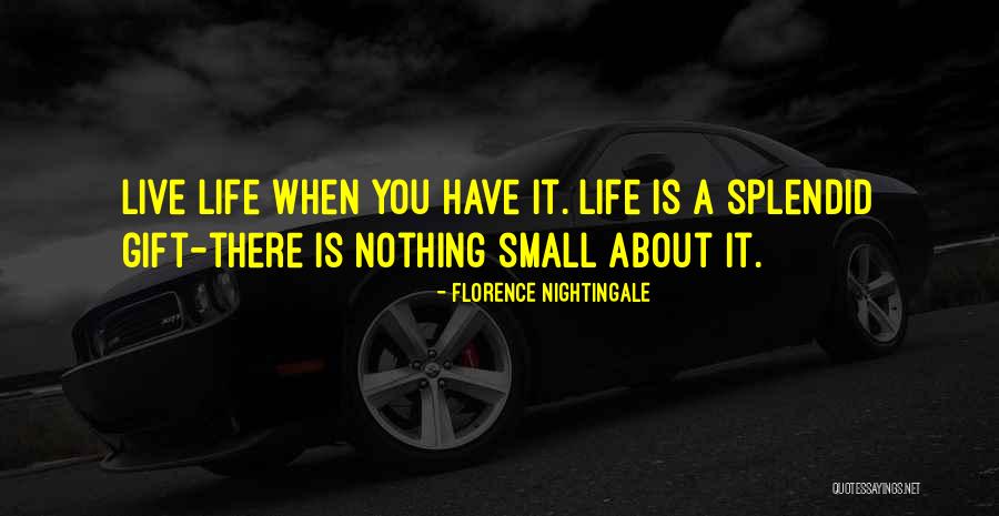 Unexcited Yay Quotes By Florence Nightingale Unexcited Yay Quotes By Florence Nightingale