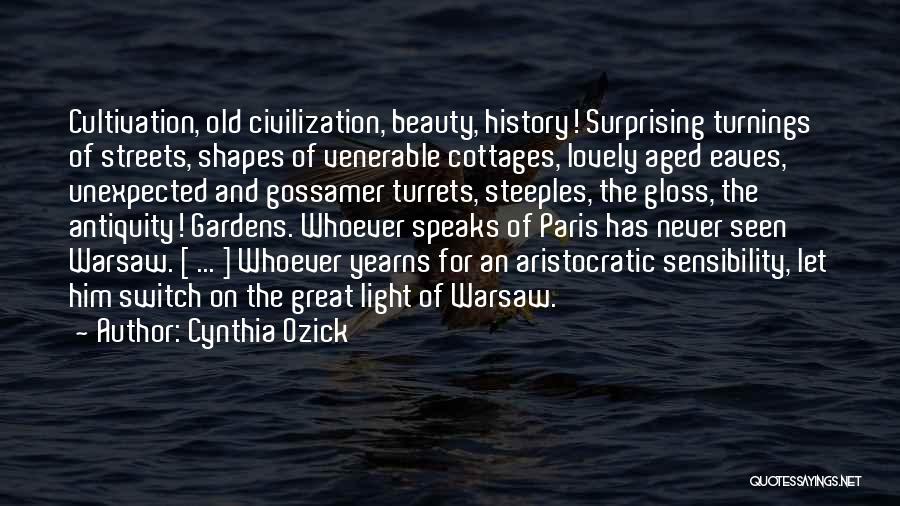 Unexpected Beauty Quotes By Cynthia Ozick